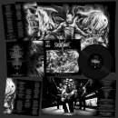 Desaster - The Arts Of Destruction (lim. gtf. 12 LP)