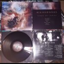 Gleichmacher - Kränkung Fall Verderben (12 LP)