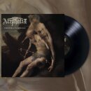 Acephalix - Theothanalogy (12 LP)