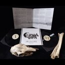 Cosmic Church - Arcana Dei (12DLP)