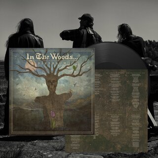 In The Woods... - Diversum (lim. 12 LP)