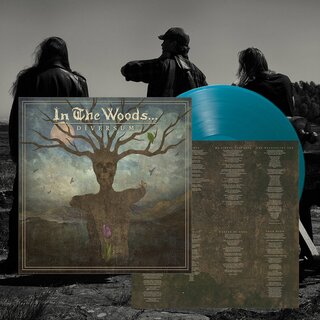 In The Woods... - Diversum (lim. 12 LP)