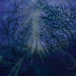 Tetrasigil - Forest Storm (digiCD)