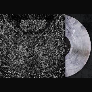 Ascended Dead - Evenfall Of The Apocalypse (gtf. 12 LP)