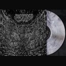 Ascended Dead - Evenfall Of The Apocalypse (gtf. 12 LP)