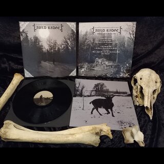 Auld Ridge - Folklore from Further Out (12LP)