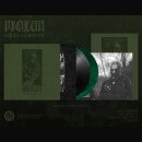Piolun - Rzeki Goryczy (12 LP)