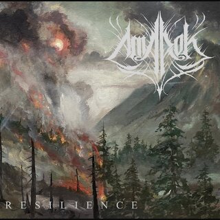 Amarok - Resilience (2x12 LP)