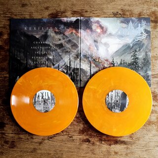 Amarok - Resilience (2x12 LP)