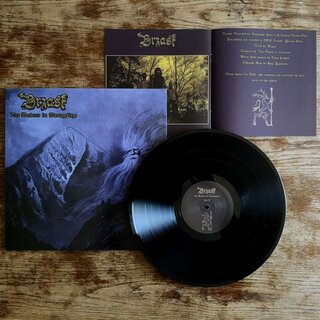 BRZASK - Der Wanderer im Riesengebirge (12 LP)