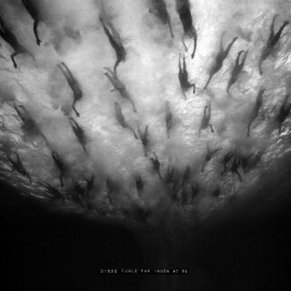 Morild - Disse Fugle Far Ingen Alt Se (12 LP)