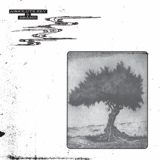 Absolute Key & Brand - Collaboration (12 LP)