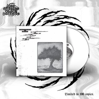 Absolute Key & Brand - Collaboration (12 LP)