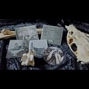 Aether - Verfallsschemen (jewelCD)