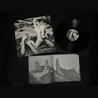 Aether - Verfallsschemen (12 LP)