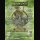 Braincrusher Nuclear Winter Festival 2026 Ticket