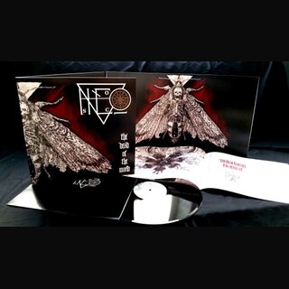 Ascension - The Dead Of The World (gtf. 12 LP)