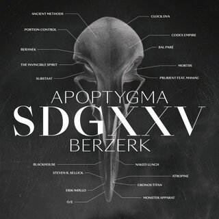 Apoptygma Berzerk - SDGXXV 12 DLP