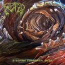 Fetid - Steeping Corporeal Mess (12 LP)