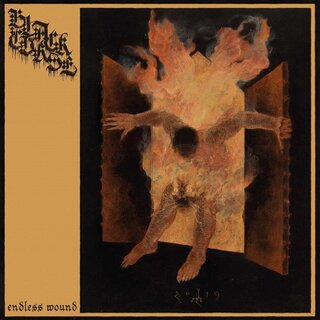 Black Curse - Endless Wound (digiCD)