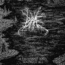 Bræ -  A Thousand Ways to End it All (12"LP)