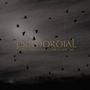 Primordial - The Gathering Wilderness (jewelCD)