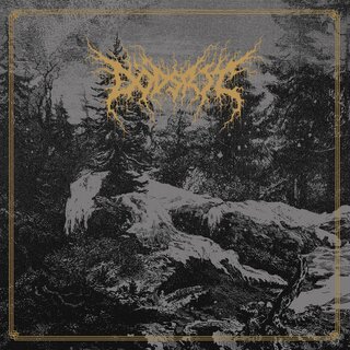 Ddsrit - Mortal Coil (12LP)