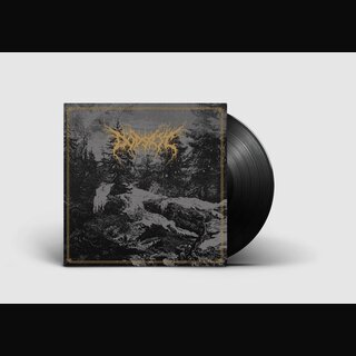 Ddsrit - Mortal Coil (lim. gtf. 12 LP)