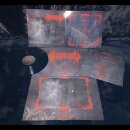 Iniquitatem - Through Dead Forests, He Dwells (12"LP)